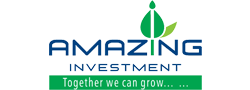 Amazing Investment- Logo
